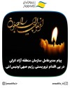 پیام مدیرعامل سازمان منطقه آزاد انزلی در پی اقدام تروریستی رژیم صهیونیستی: